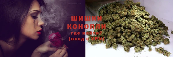 индика Абдулино